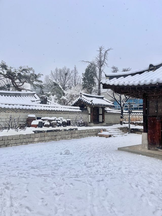 강원도 안 가도 눈꽃 구경 제대로 할 수 있는 서울 숨은 명소❄️