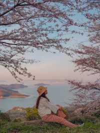 【香川】世界の訪れるべき52ヶ所にも選ばれた！四国を代表する絶景桜スポット！