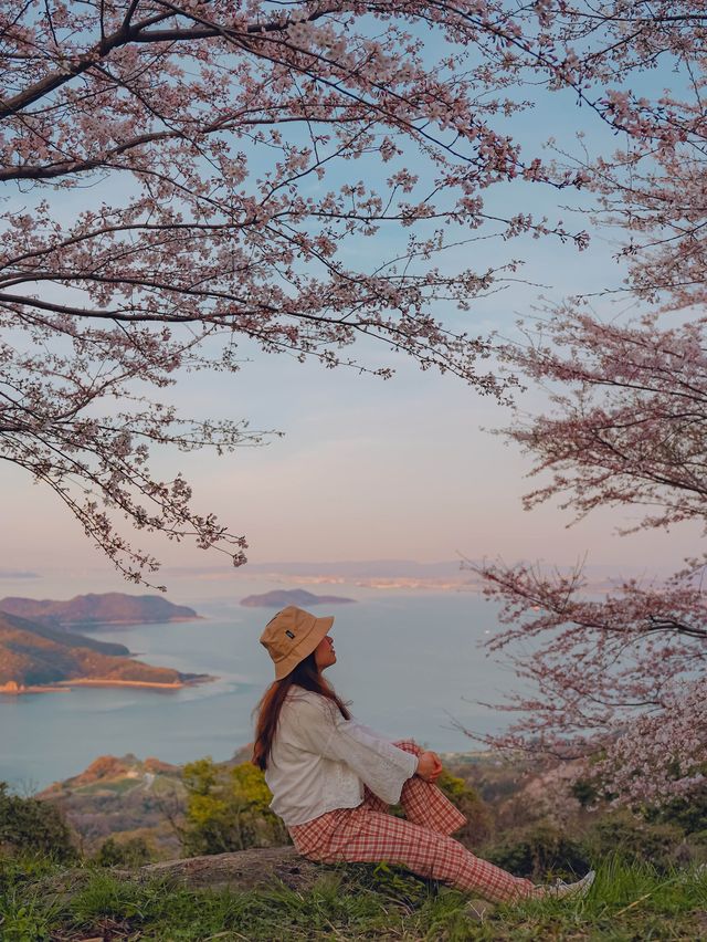 【香川】世界の訪れるべき52ヶ所にも選ばれた！四国を代表する絶景桜スポット！