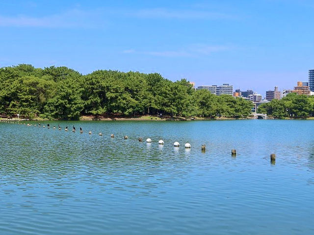 Scenic Park in Fukuoka