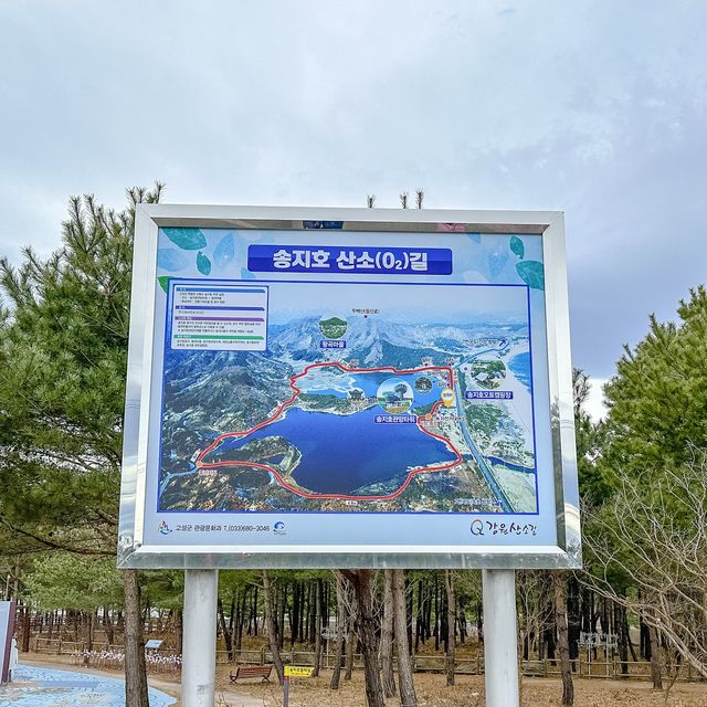 고성 여러 전망대 중 송지호 전망의 진수