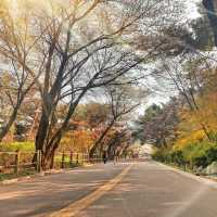 山光水色～圍嶺公園