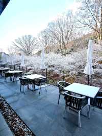 【京都】天然温泉の屋外プールを堪能！ステイしながら心身共にととのうホテル✨