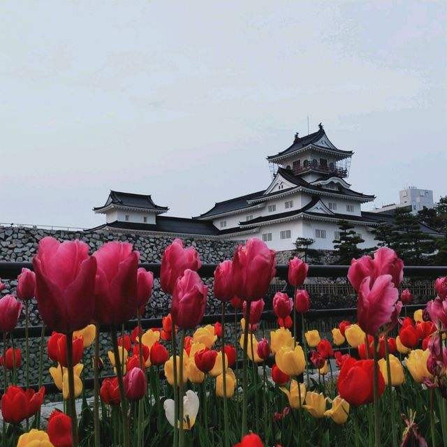 Toyama Castle