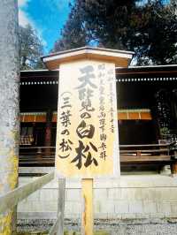 【長野県/下諏訪　全国にある諏訪神社の総本社『諏訪大社』の2つ目⛩️秋宮】