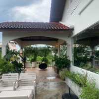 💐 Summer Rain - Cafe & Casual Dining 🏠🌷✨