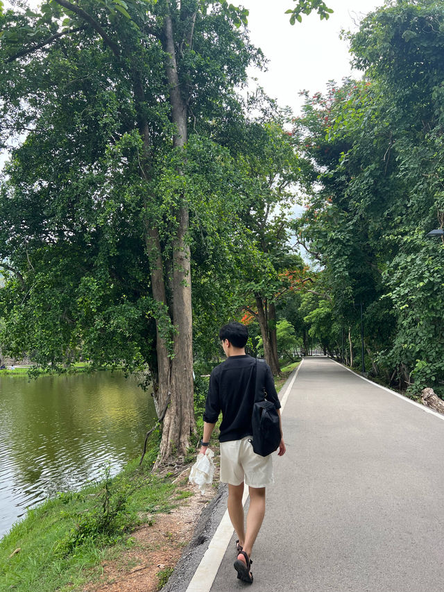 자연을 듬뿍 느낄 수 있는🌿🌳 ‘치앙마이대학교’