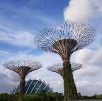 Gardens by the Bay