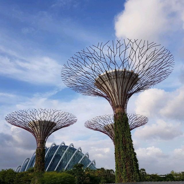 Gardens by the Bay