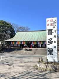 【喜多院/埼玉県】徳川家ゆかりの寺院で少し早い桜詣