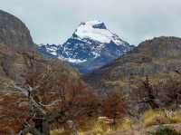 Laguna Torre 가는 길...엘찰텐 트래킹