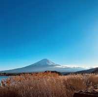 【河口湖】富士山景點推薦！富士絕美景色，此生必去！