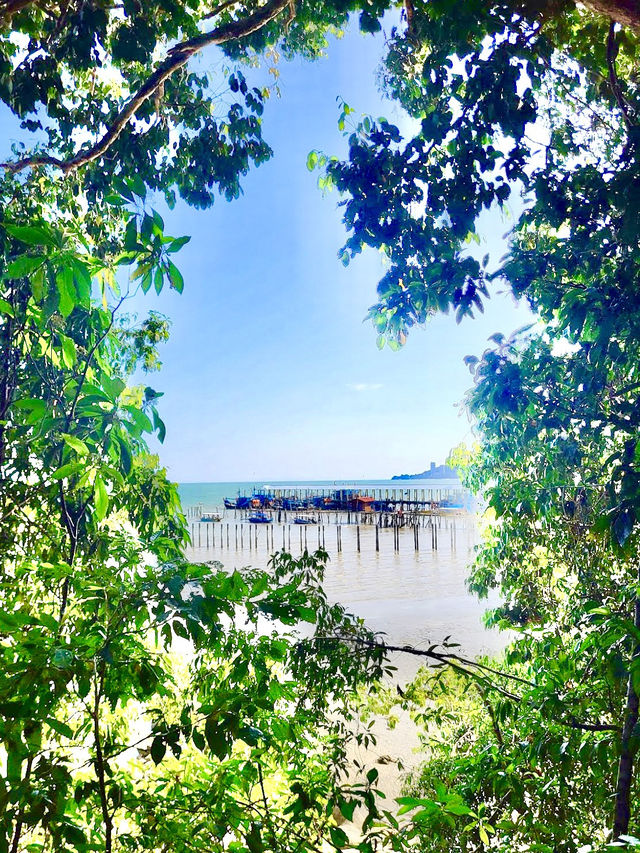 Penang National Park 