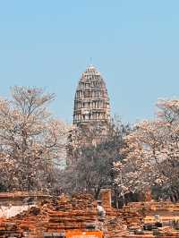 Old city- Ayutthaya 