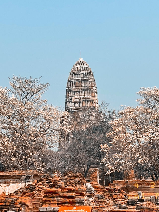 Old city- Ayutthaya 