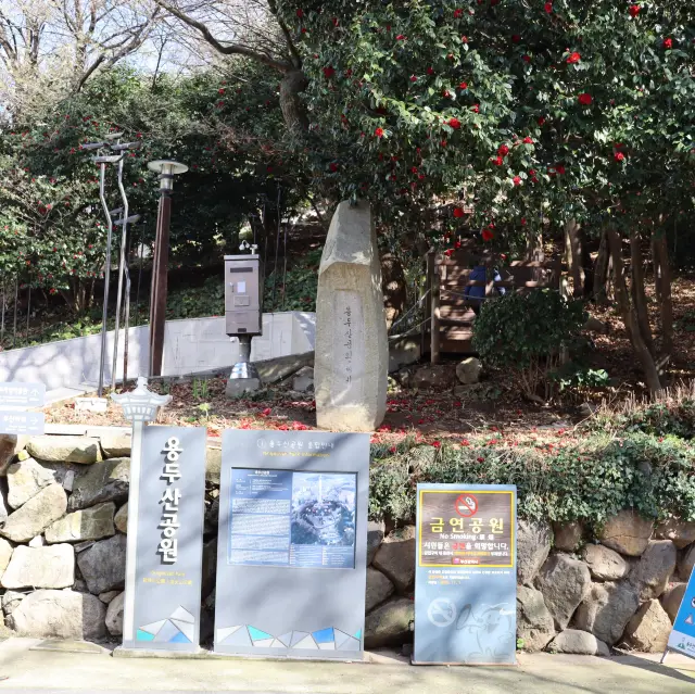 부산 가볼만한 곳 🗼 용두산공원