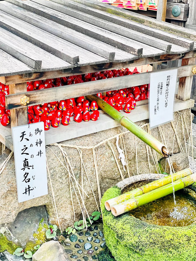 【京都】女性のすべての願いを叶える守り神⛩市比賣神社