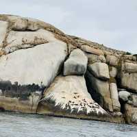Skull rock adventure