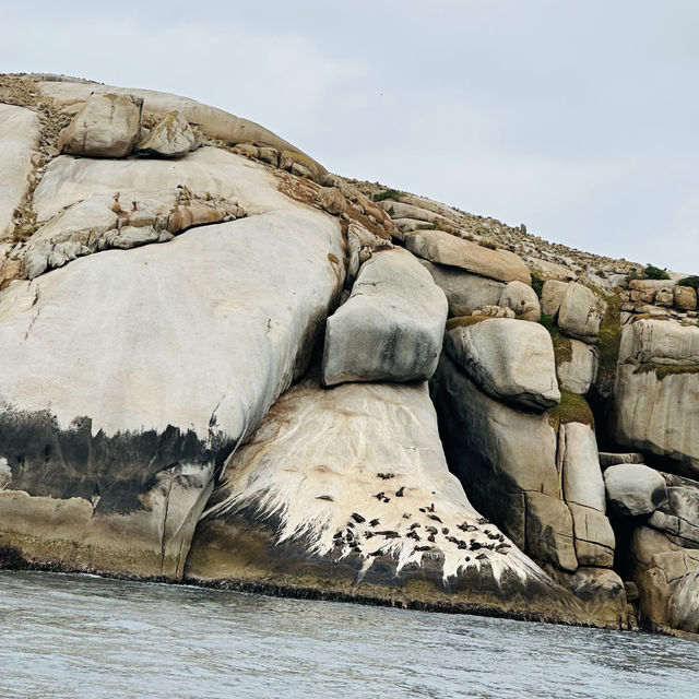 Skull rock adventure