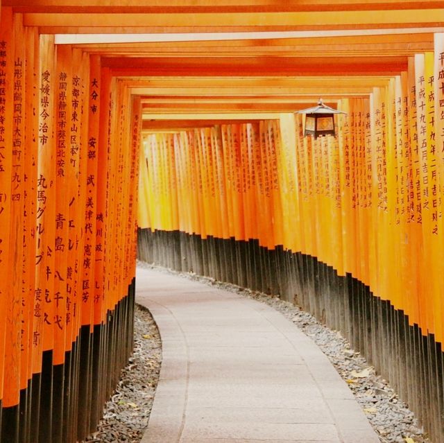 후시미 이나리 신사 놀러와요 ☺️