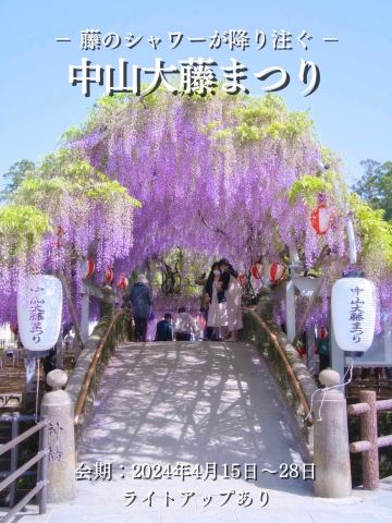 福岡】まさかの無料😍藤棚のトンネルの先に広がる紫色の映え空間