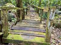 Gunung Gading National Park 