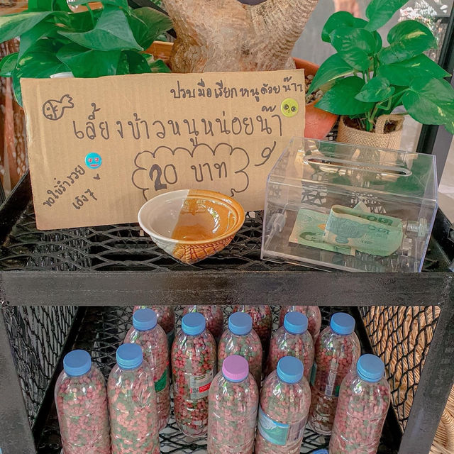 Thanankarn Cafe พัทยา🐟