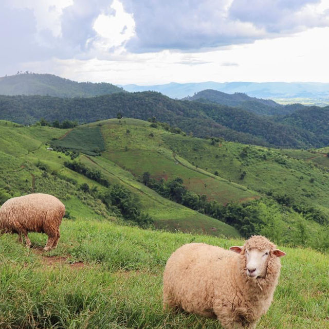 Akha Farm Ville