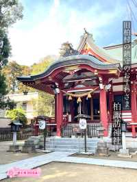 【柏諏訪神社/千葉県】旧柏村の鎮守のおすわさま