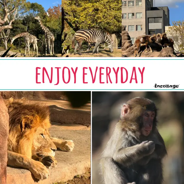 【高雄】壽山動物園:歡樂動物園