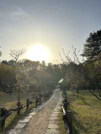 One Day at Nami Island