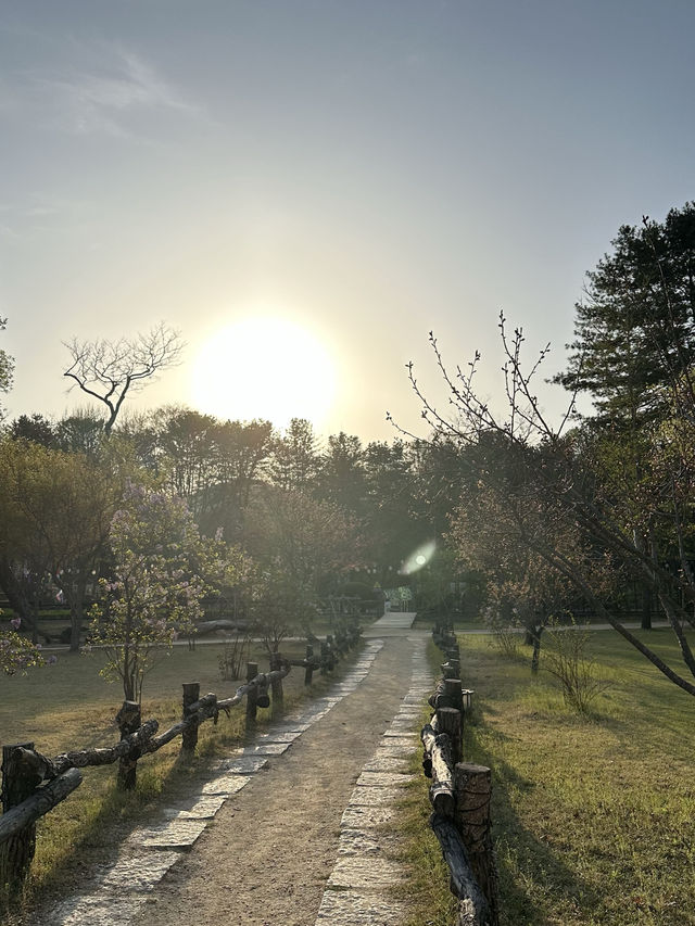 One Day at Nami Island