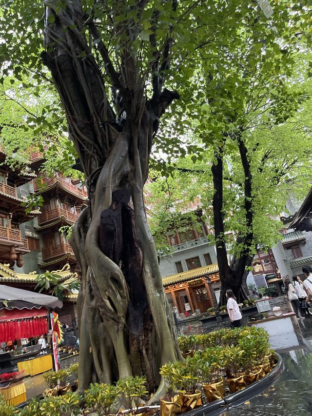 🙏 廣州大佛寺：重拾內心寧靜之所** 🏯🌅🌸