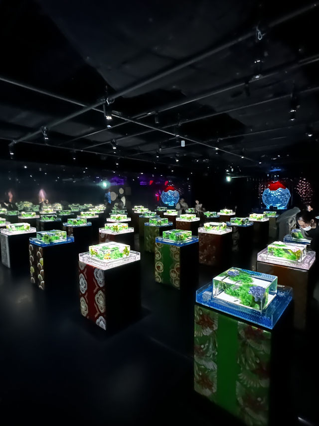 【東京】雨の日だって初夏を楽しめる✨藤×紫陽花×金魚のアートな世界を体験😍※スマホ撮影テク付 