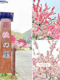 【長野】一度は絶対行きたい日本一の桃源郷