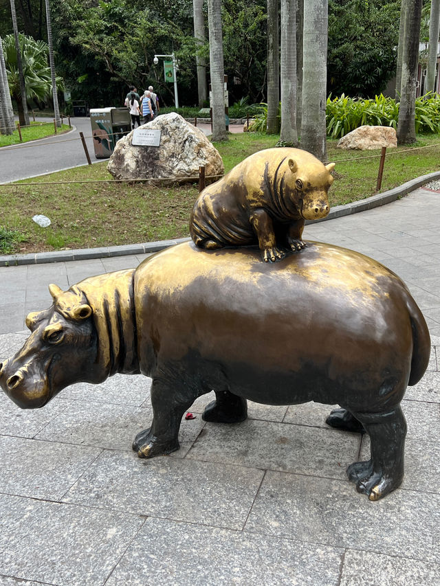 廣州市內親子遊第一推介❣️廣州動物園🥳