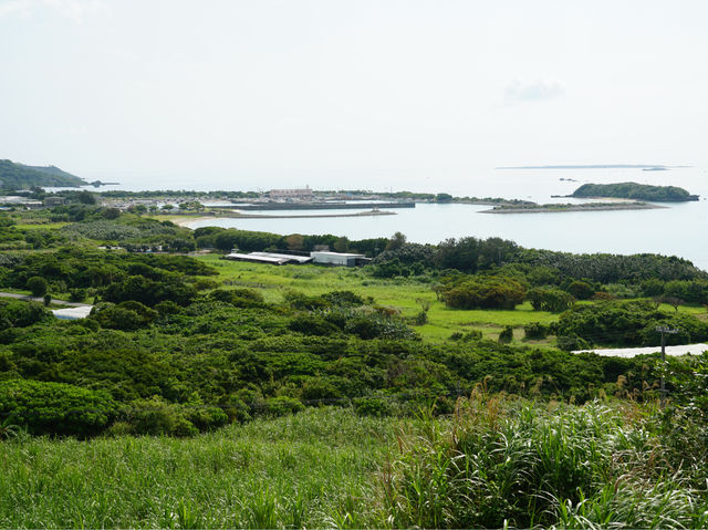 【沖繩】八重瀨町：山、農田、海，日韓春天好去處