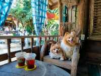 คาเฟ่โฮมมี่เปิดเฉพาะเสาร์-อาทิตย์ กิจกรรมเพียบ