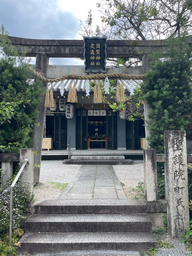 【京都府】日本唯一の交通安全の神様が祀られている神社！
