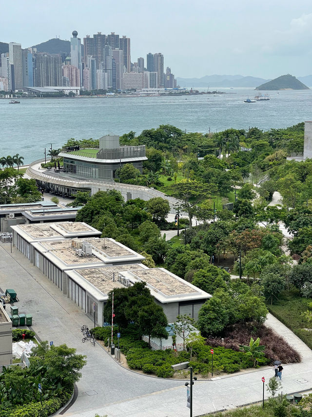 🌼🌸 春日寧靜楽園 🌸🌼 M+空中花園：春日散步好去處！