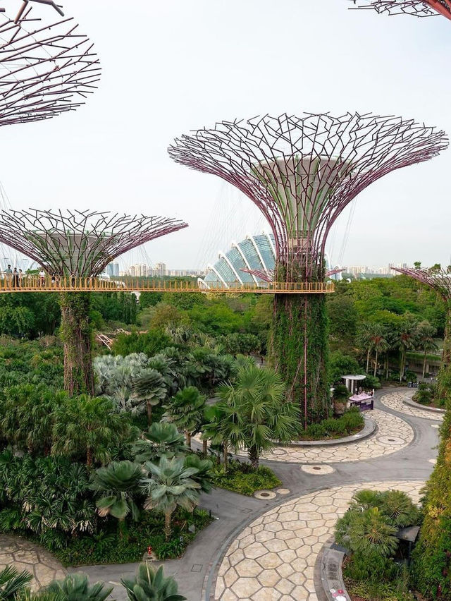Garden in Singapore