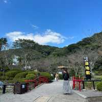【大分】鉄板観光！地獄巡り！