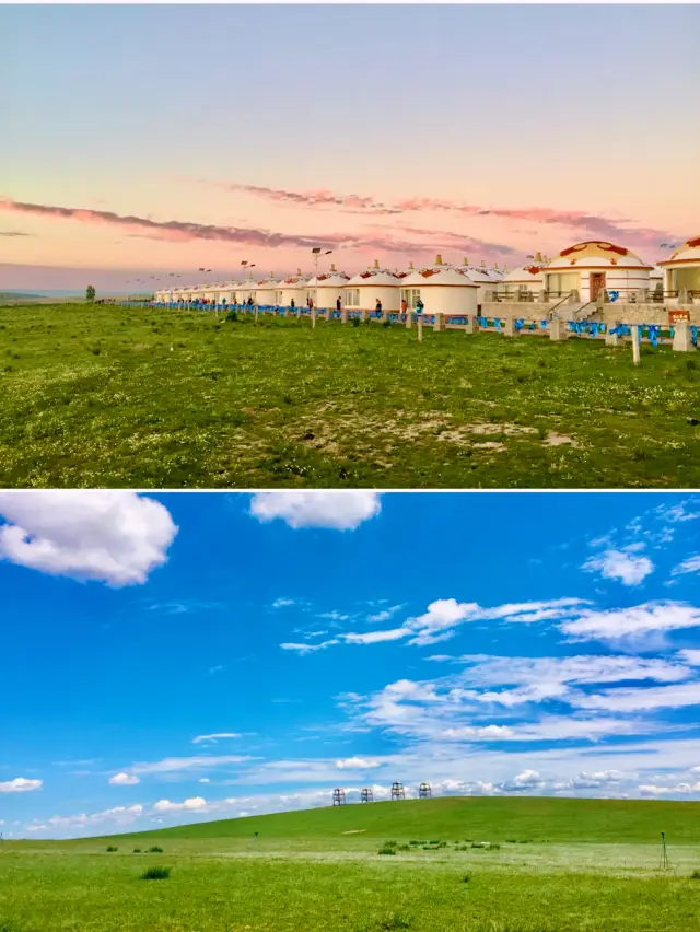 【내몽골】희라무런 초원: 바람이 풀을 낮추어 소와 양이 보이는, 초원 문화를 느낄 수 있는 봄의 좋은 여행지입니다.