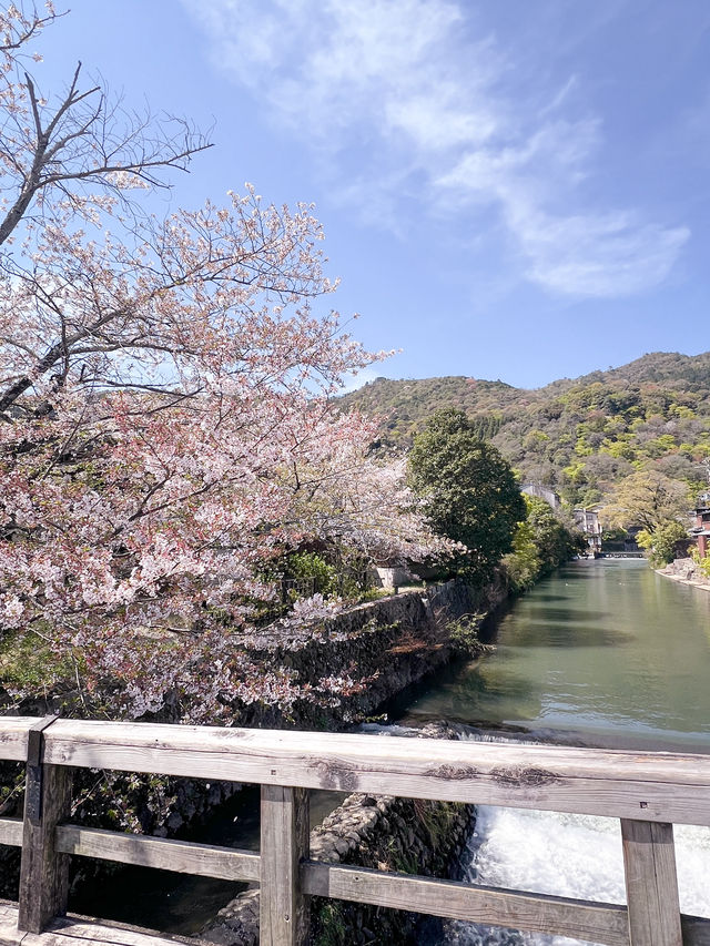 Arashiyama Kyoto🩷เดินเล่นที่อาราชิยาม่า