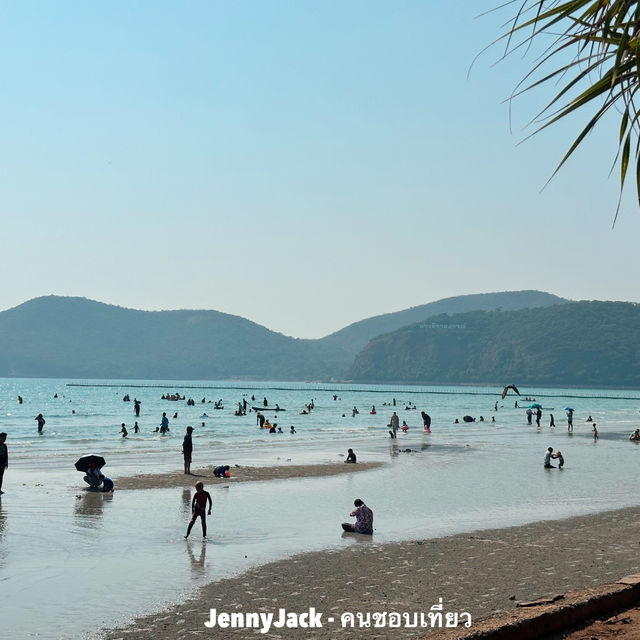 จุดชมวิวหาดเตยงาม วิวทะเลเห็นเกาะ สวยมาก #ชลบุรี