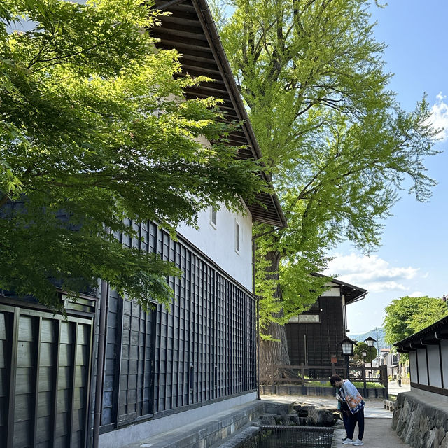 飛驒古川，寧靜舒服的村莊，與鯉魚一起散步