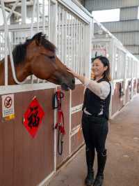 【深圳-一日體驗騎馬餵馬 🐎】