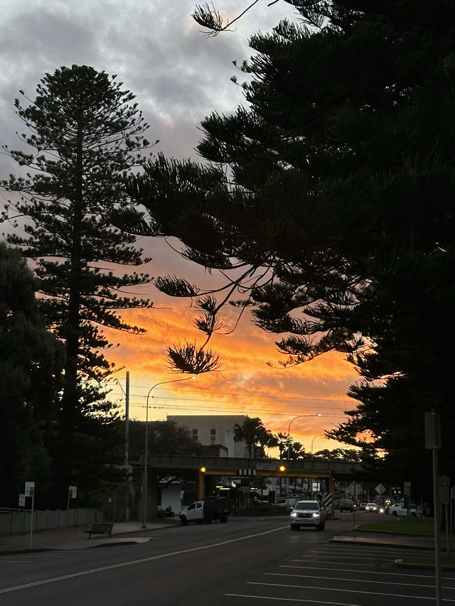 When in Sydney….