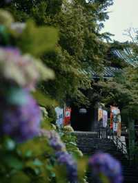 【奈良】期間限定‼️梅雨の時期こそ楽しめる😍紫陽花×階段映え絶景✨
