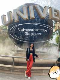 Universal Studios Singapore 🎡